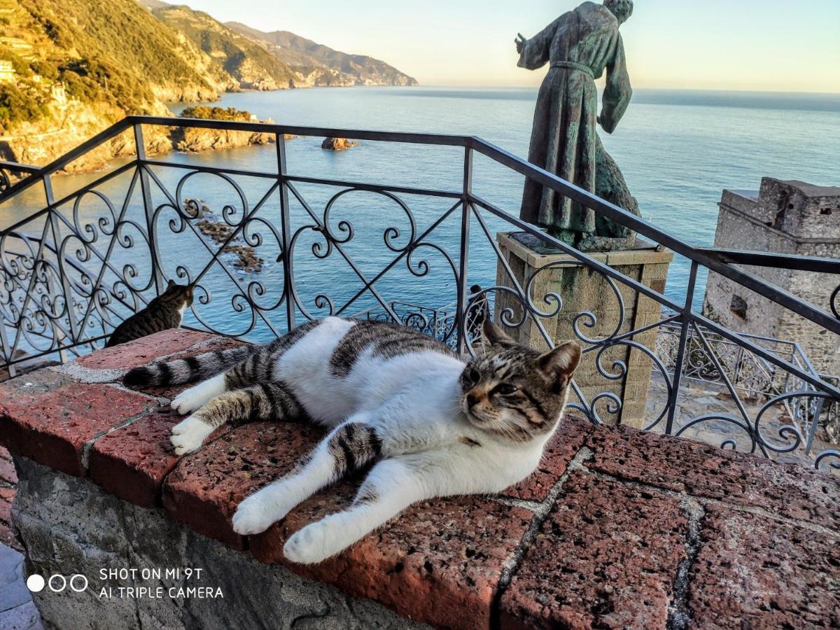 Il Balconcino Sul Carugio Apartment Monterosso al Mare Exterior photo