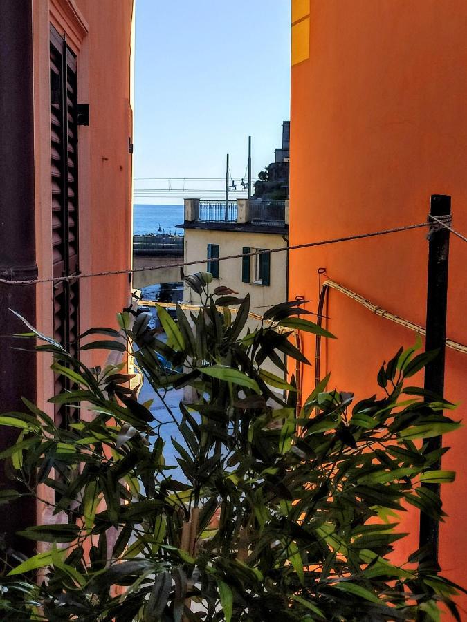 Il Balconcino Sul Carugio Apartment Monterosso al Mare Exterior photo